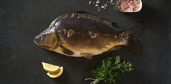 Karp królewski tusza (1,5 kg)