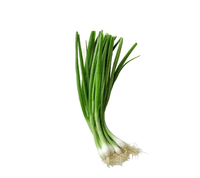 Cebulka Ze Szczypiorkiem BIO - Pęczek