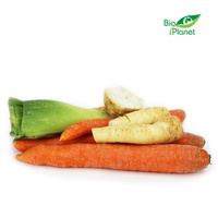 Włoszczyzna Świeża BIO (Polska) (Około 0,60 kg)