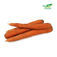Marchew Świeża Niemyta BIO (Polska) (Około 5 kg) (5 szt x 1 kg)