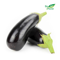 Bakłażan Świeży BIO (Około 5 kg) (3 szt x 1 kg)