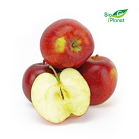 Jabłka Świeże BIO (Honeycrisp Polska) (Około 13 kg) (13 szt x 1 kg)