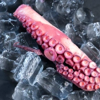 Macka ośmiornicy (1 szt.) pasteryzowana (500 g)