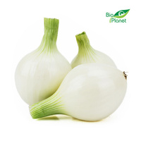 Cebula Cukrowa Świeża BIO (Polska) (Około 1,00 kg)