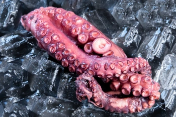 Macki ośmiornicy (2 szt.) pasteryzowane (ok. 280 g)