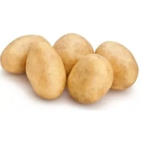 Ziemniaki Białe Irga BIO (1 kg)