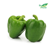 Papryka Zielona Świeża BIO (Polska) (Około 3 kg) (5 szt x 1 kg)