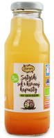 Sok z Kapusty Kiszonej z Marchewką BIO (3 szt x 300 ml)