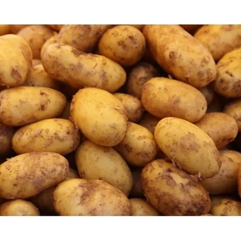 Ziemniaczki młode Universa BIO (1 kg)