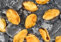 Mięso muli, gotowane, w solance (300 )