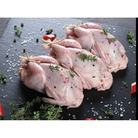 Gołąb tuszka (225 g)