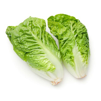 Sałata Rzymska Mini BIO 2 Szt.