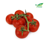Pomidory Na Gałązce Świeże BIO (Około 5 kg) (5 szt x 1 kg)