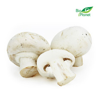Pieczarki Białe Świeże BIO (Polska) (Około 3 kg) (3 szt x 1 kg)