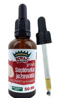 Grzyby Soplówka Jeżowata (Lion'S Mane) Ekstrakt w Kroplach 50 ml