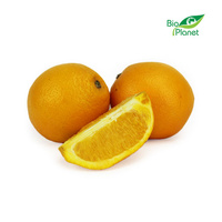 Pomarańcze Świeże BIO (Około 2,00 kg)