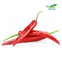 Papryka Ostra Świeża BIO (Około 0,10 kg)