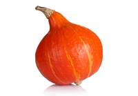 Dynia Hokkaido BIO 1 Szt.