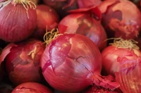 Cebula Czerwona BIO (1 kg)