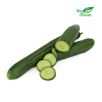 Ogórek Długi Świeży BIO (Około 0,35 kg)